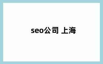 seo公司 上海